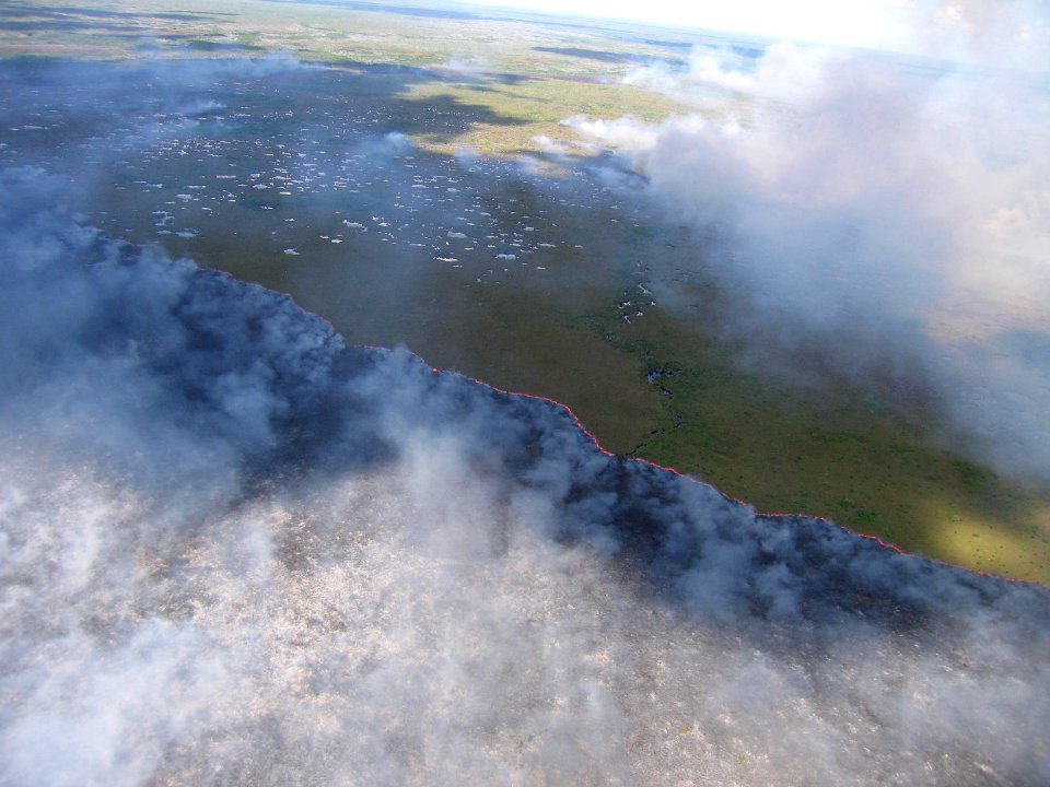 Coastal Prairie Burn50
