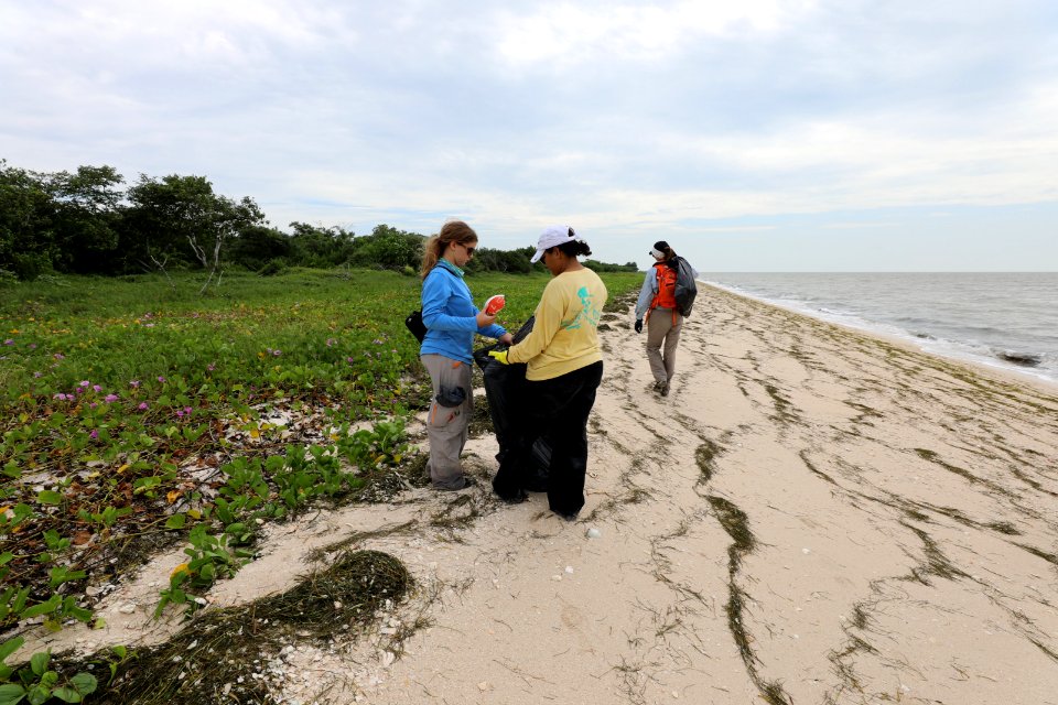 NPSPhoto M.Collier 2019 CS BeachClean EastCape (8)