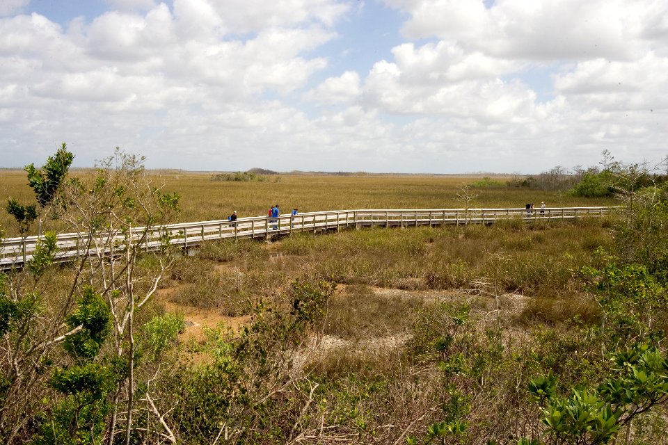 Pay-Hay-Okee Boardwalk (4), NPSPhoto
