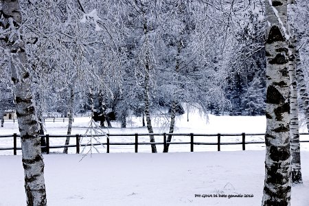 neve val vigezzo photo