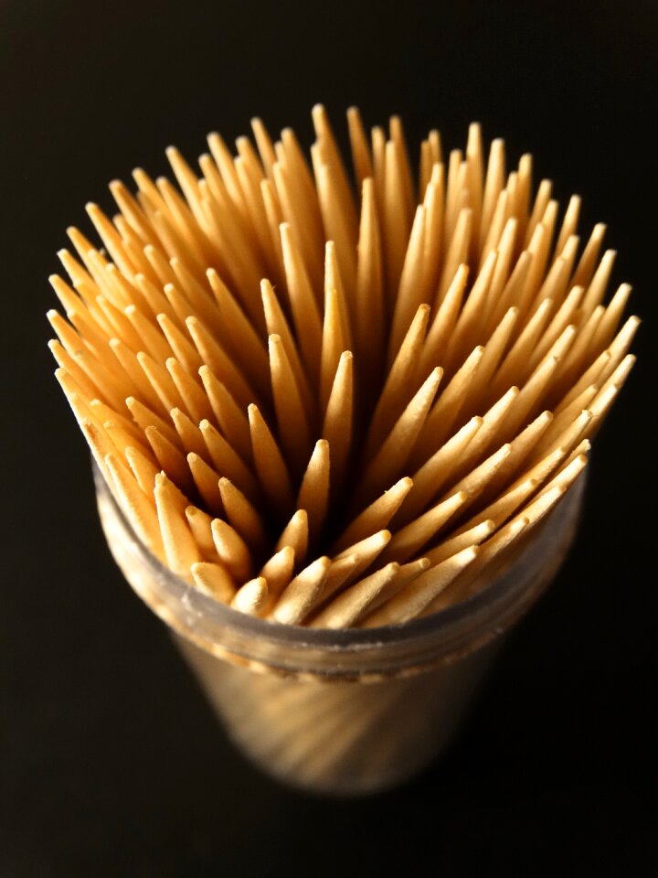 Toothpick pointed prickly