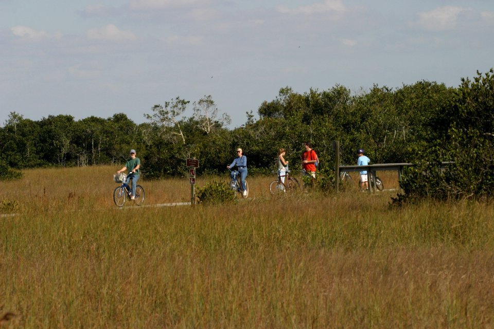 Shark Valley Bicycling (2), NPSPhoto, R. Cammauf