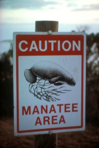 Manatee Area Sign 140FL, NPSPhoto, O'Donnell
