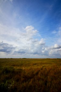Sawgrass Prairie