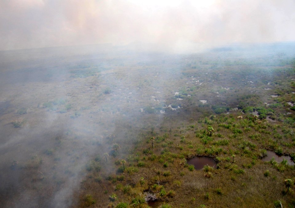 Coastal Prairie Burn12