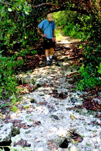 Otter Cave (5), NPSPhoto