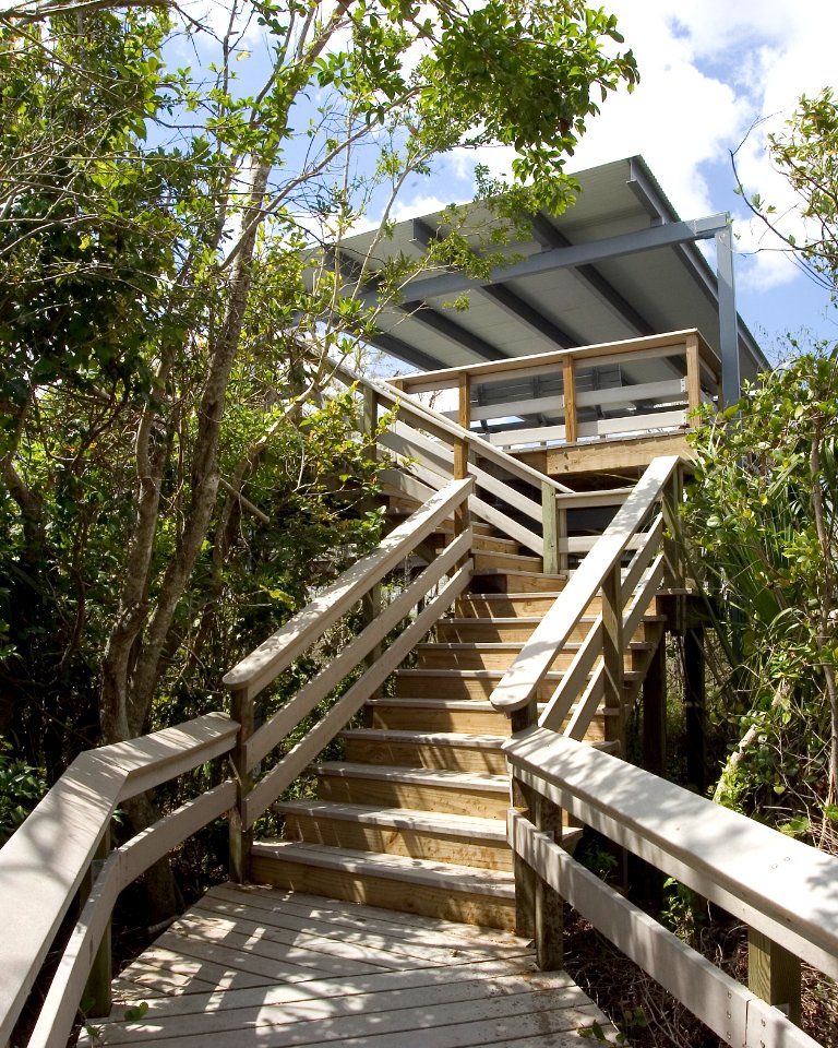 Pay-Hay-Okee Boardwalk (7), NPSPhoto