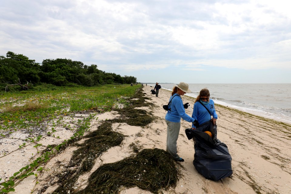 NPSPhoto M.Collier 2019 CS BeachClean EastCape (15)