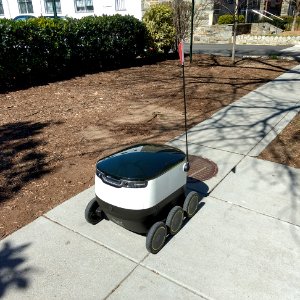 Starship food delivery robot photo