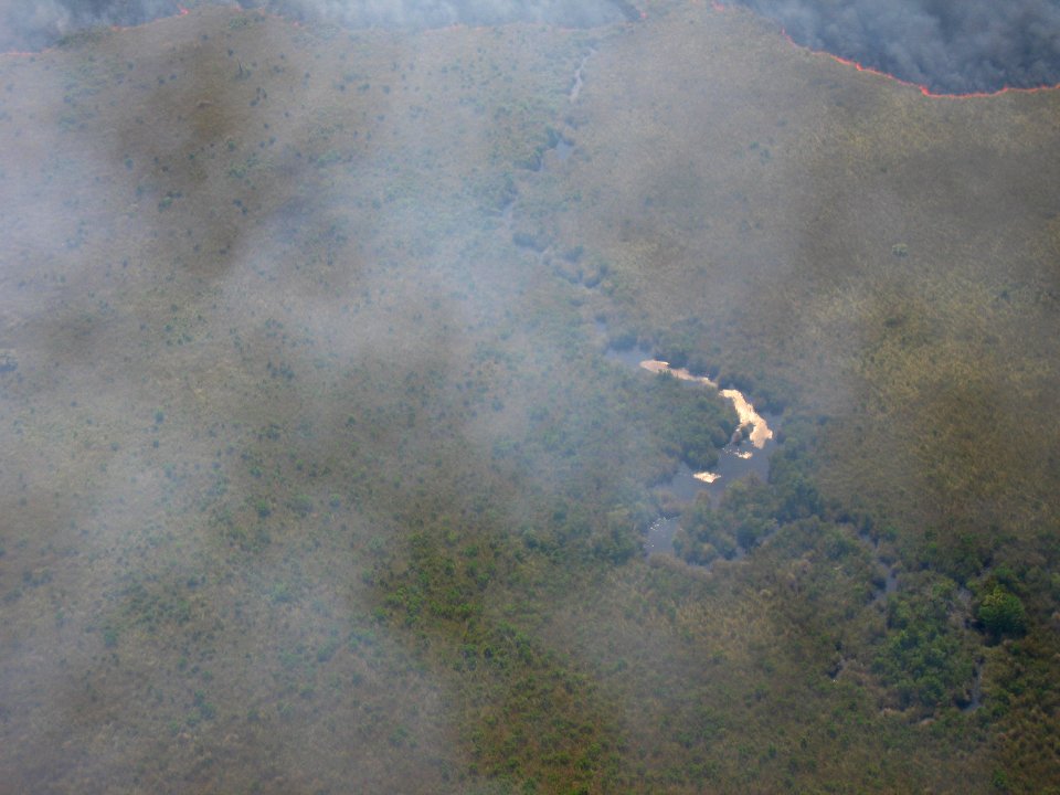Coastal Prairie Burn43