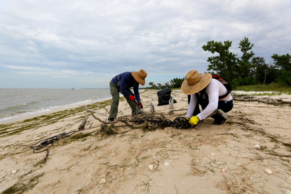 NPSPhoto M.Collier 2019 CS BeachClean removingLine