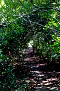 Otter Cave (3), NPSPhoto