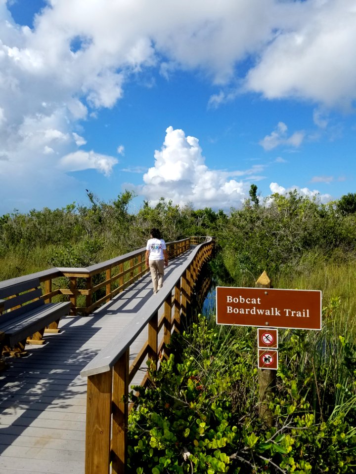 Bobcat Boardwalk Opening Vertical