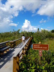 Bobcat Boardwalk Opening Vertical