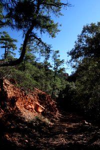 UPPER FLUX CANYON, Patagonia Hills, scc, az (9-25-10) -12