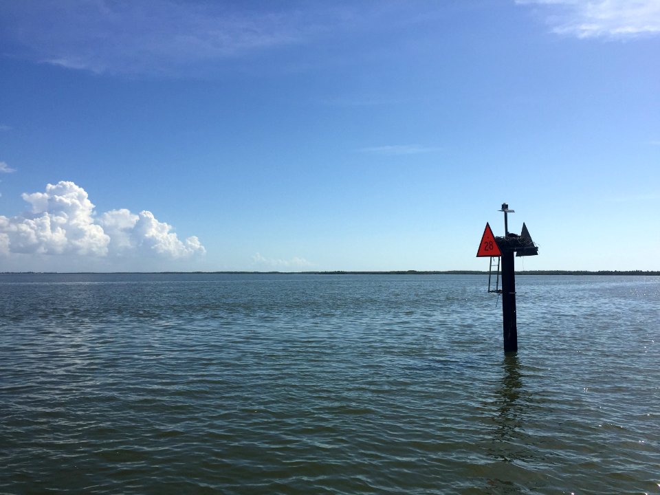 Channel Marker Gulf Coast