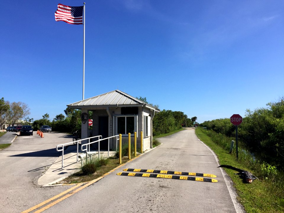 Shark Valley Entrance Station with American Alligator