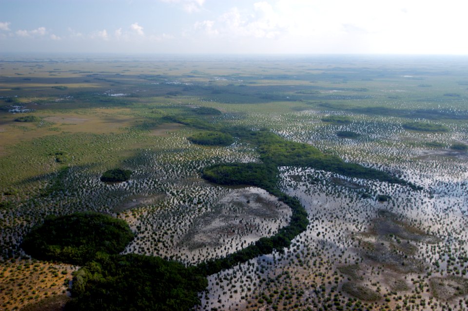 Transition from Sawgrass to Coastal Habitat, NPSPhoto