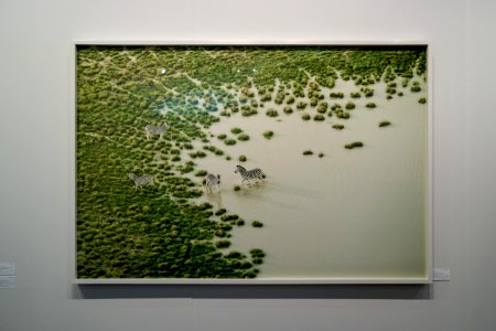 Zack Seckler, Botswana Bath