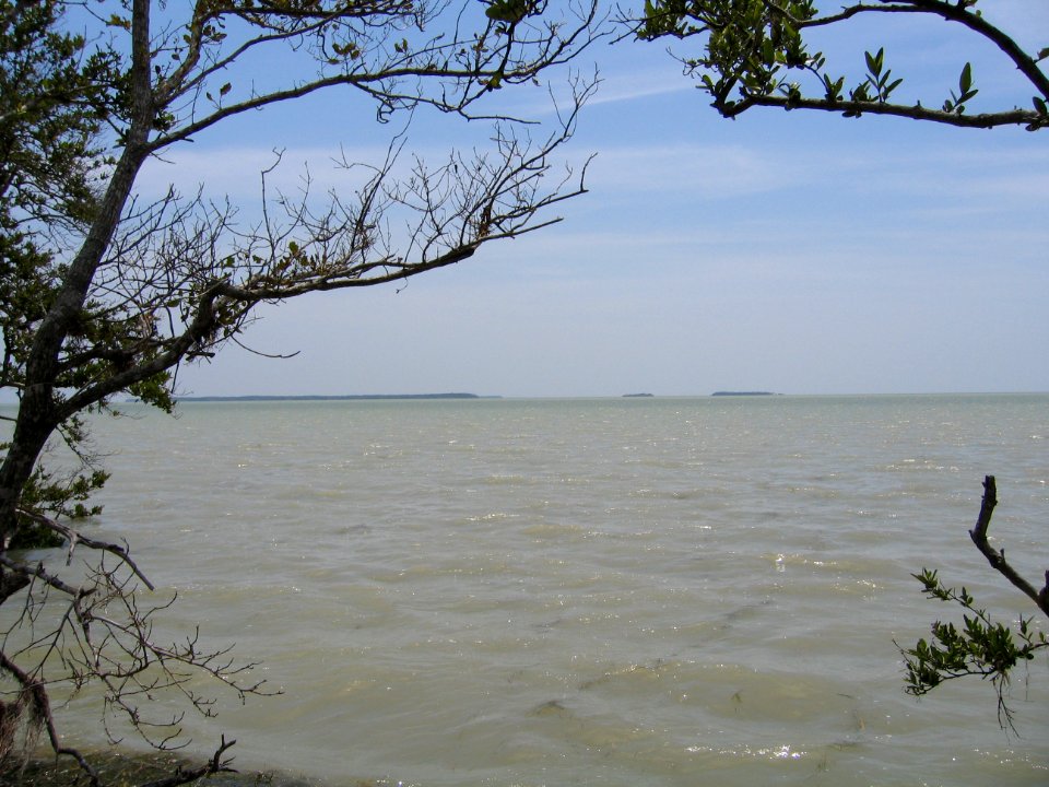 Coastal View, NPSphoto