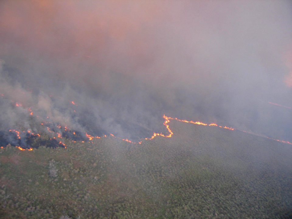 Coastal Prairie Burn21
