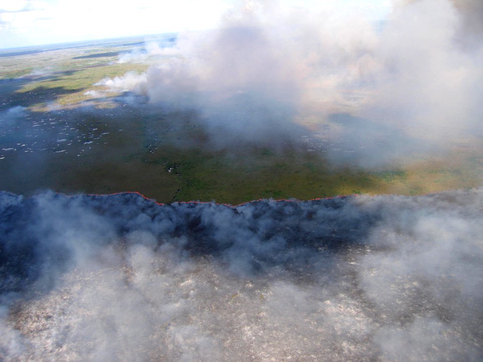Coastal Prairie Burn51