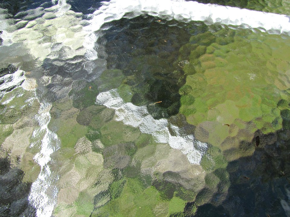 Texture 230