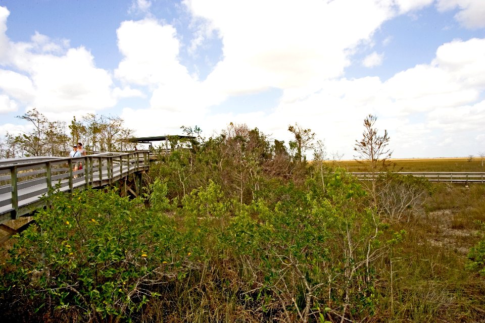 Pay-Hay-Okee Boardwalk (8), NPSPhoto