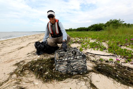 NPSPhoto M.Collier 2019 CS BeachClean CrabTrap (5)