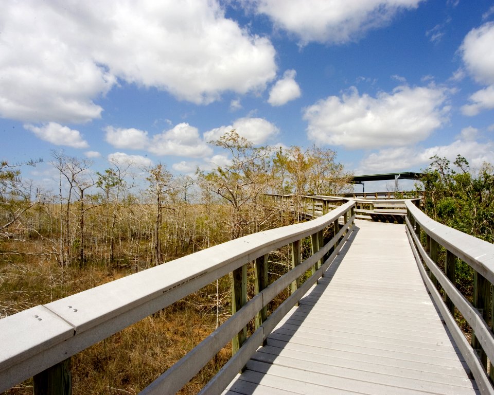 Pay-Hay-Okee Boardwalk (2), NPSPhoto
