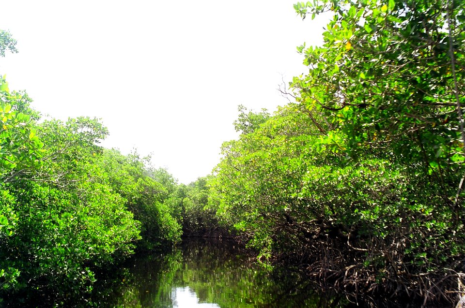 Hurricane Creek, Florida Bay, NPSPhoto