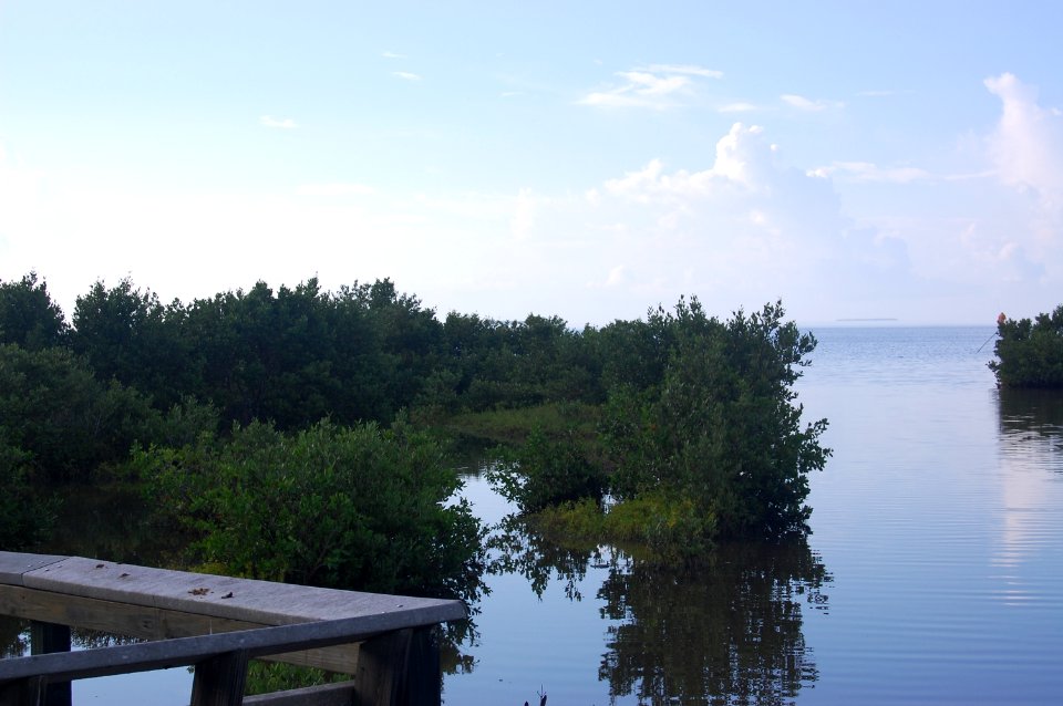 Snake Bight Trail, NPSPhoto (5)
