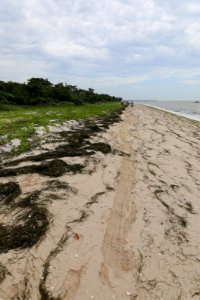 NPSPhoto M.Collier 2019 CS BeachClean EastCape (13)