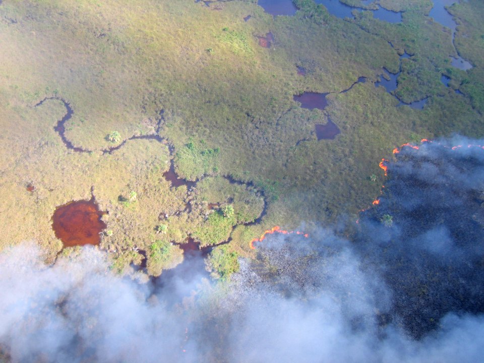 Coastal Prairie Burn39