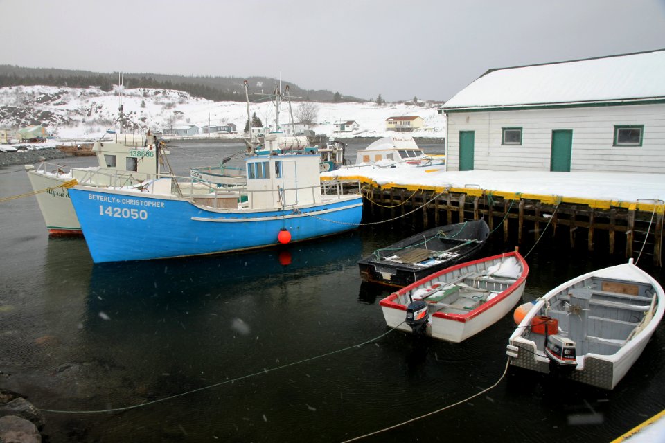 2011 - FEB 12 - 22 - NEWFOUNDLAND -057 Brigus South (3)