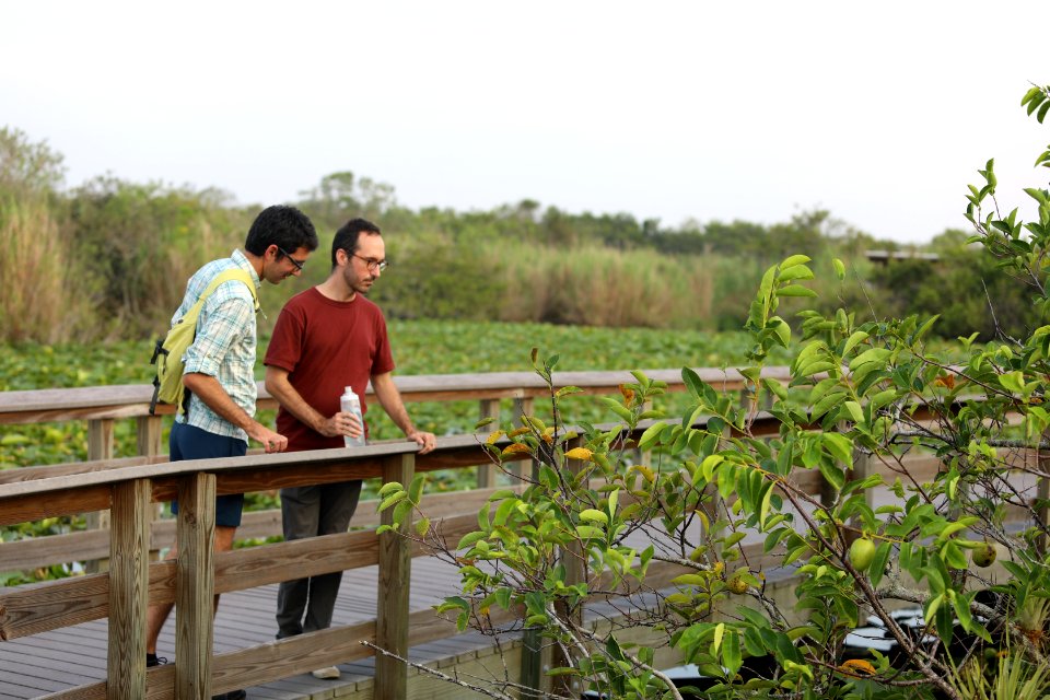 Visitors on Anhinga Trail boardwalk