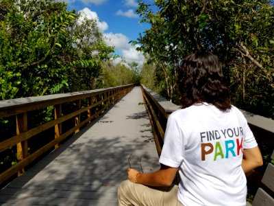Bobcat Boardwalk View Sunny Find Your Park