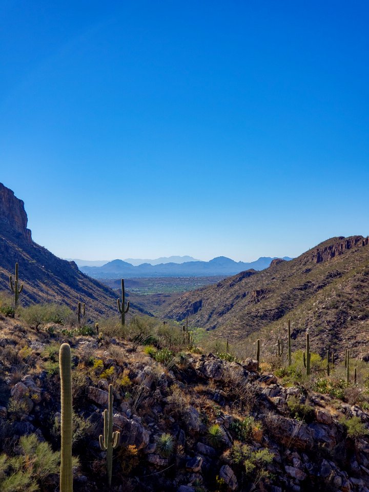 phoneline hiking trail in Sabino Canyon recreation area