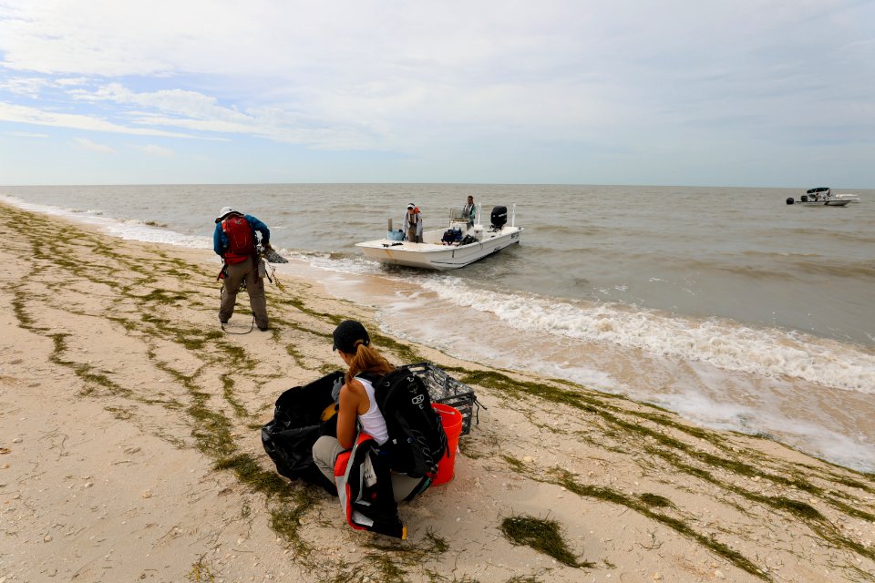 NPSPhoto M.Collier 2019 CS BeachClean trashpickup
