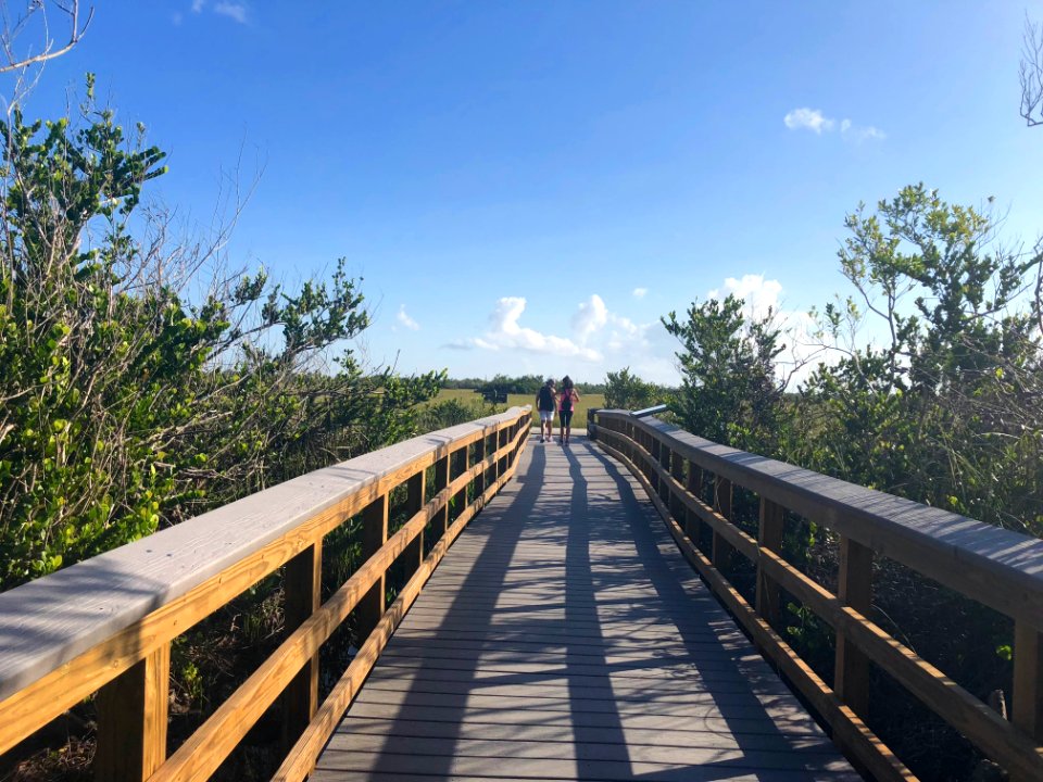 Bobcat Boardwalk