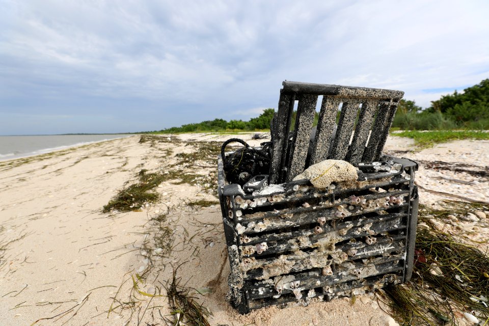 NPSPhoto M.Collier 2019 CS BeachClean CrabTrap (1)
