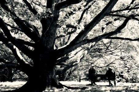 the wisdom of NATURE