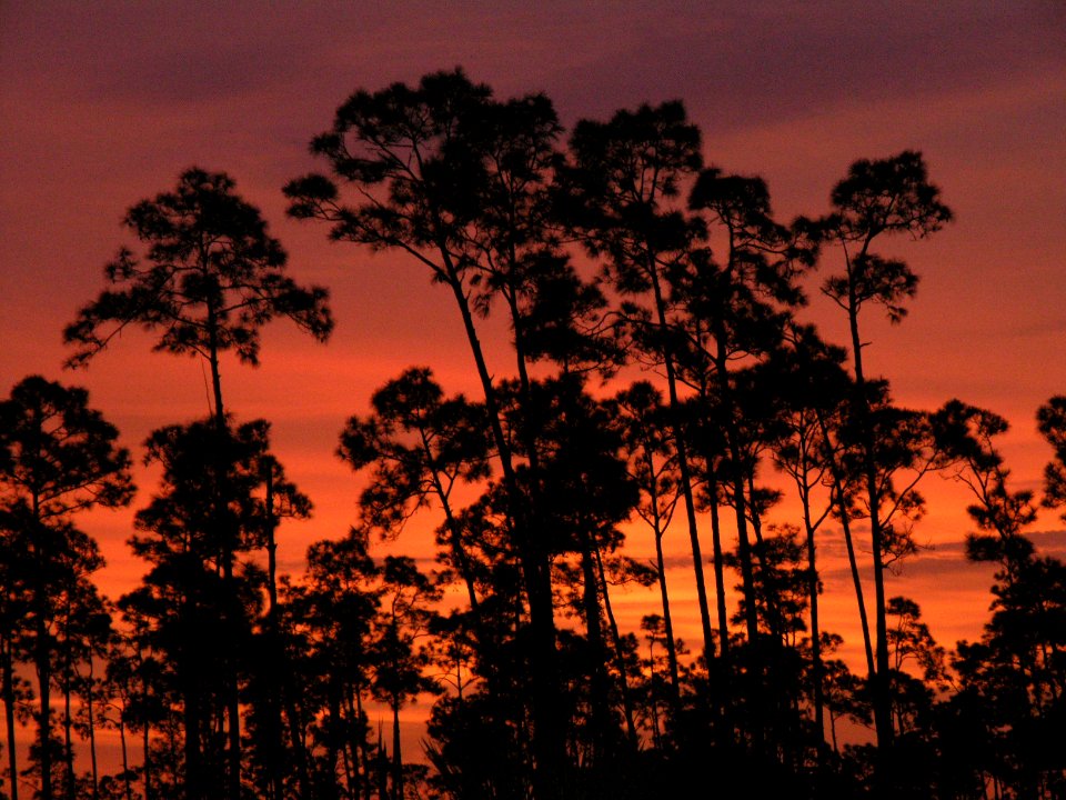 Pinelands Sunrise (4) NPSPhoto, Sarah Zenner