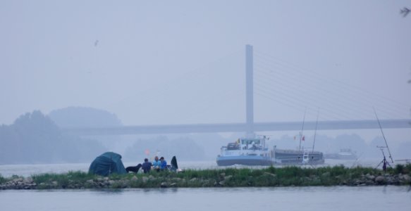 Angler im Nebel am Rhein