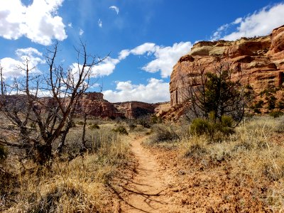 Hiking Ute Canyon