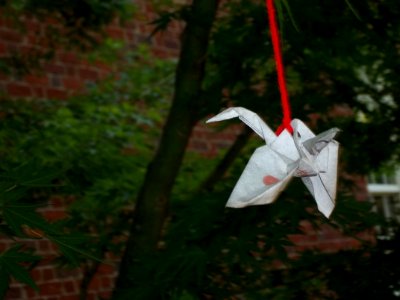Crane
