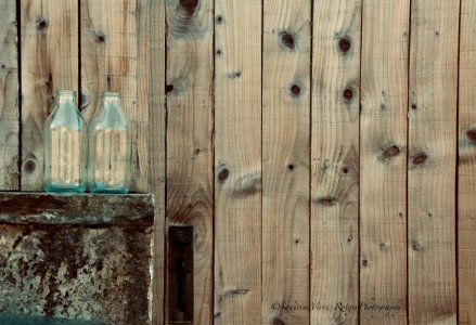 The Milk Bottles