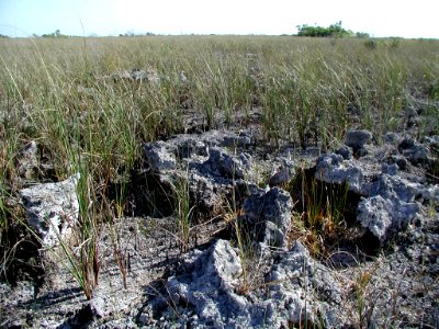 Pinnacle Rock- East Everglades (1), NPSPhoto