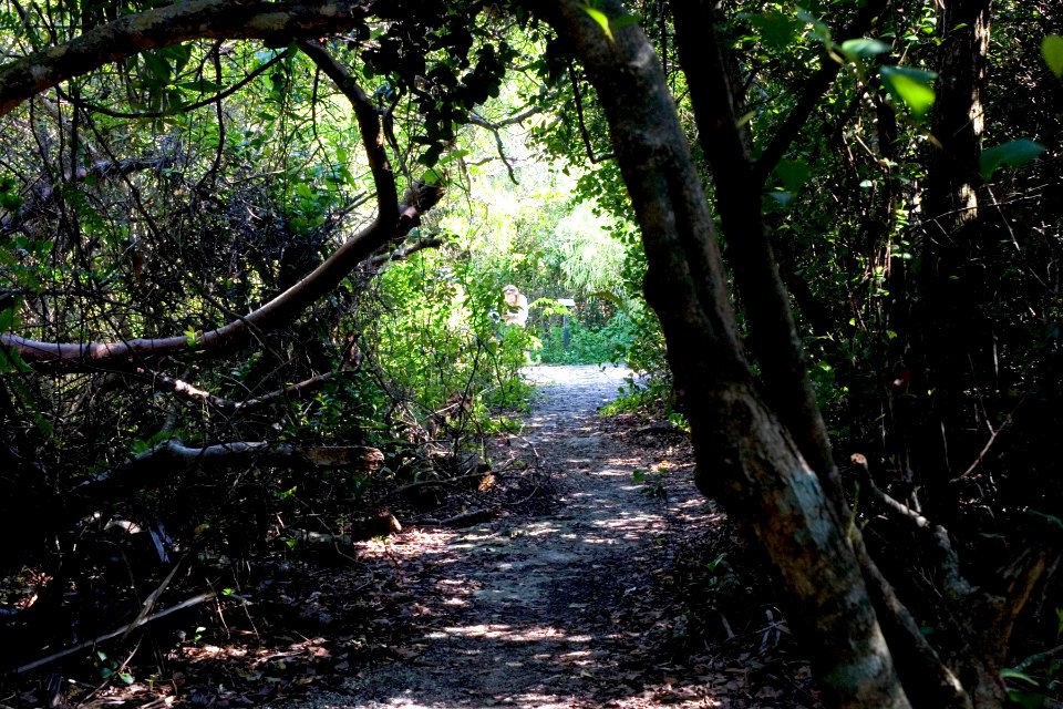 Otter Cave (2), NPSPhoto