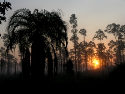 Pinelands Sunrise (2) NPSPhoto, Sarah Zenner